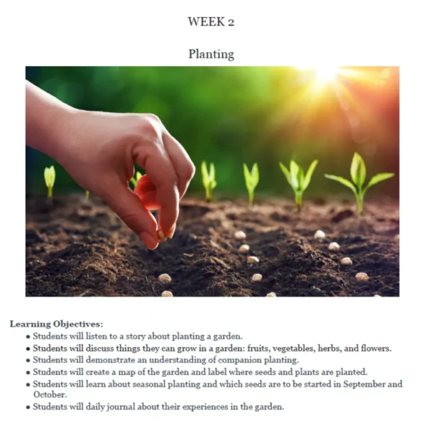 Gardening - Image 3