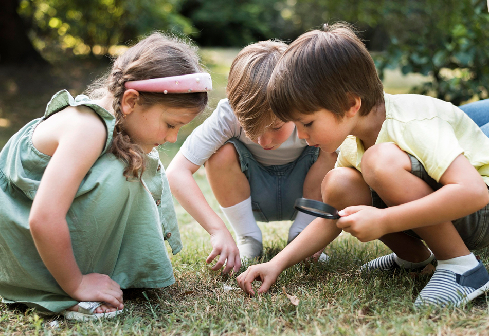 A Collaborative Educational Journey