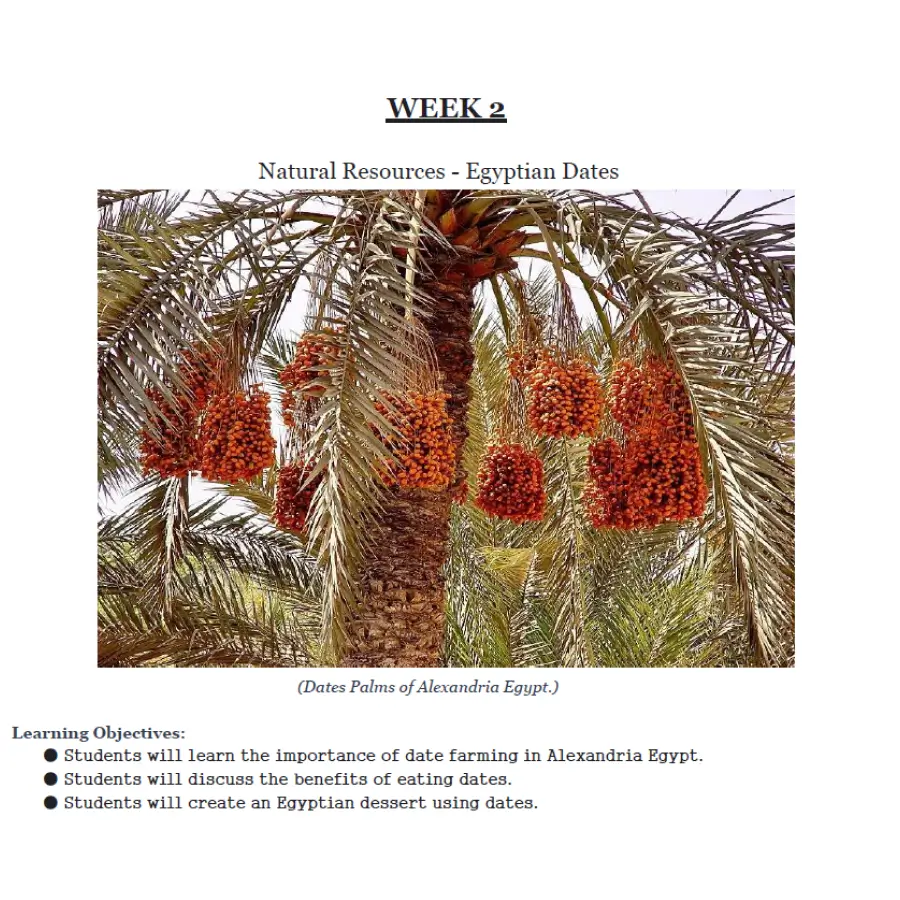 Alexandria, Egypt - Image 3