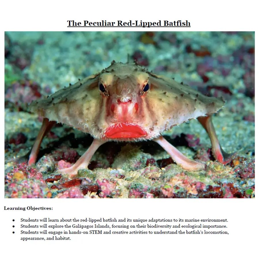 Extraordinary Animals - Image 2