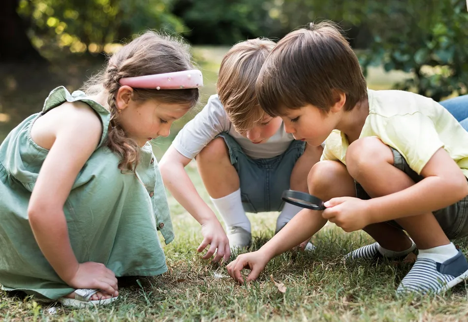 A Collaborative Educational Journey