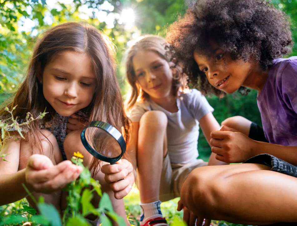 Summer Adventures – Seasonal Program
